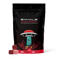 Shroom Puff extreme mushroom vape disposable