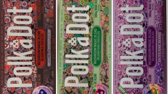 Euphoria Magic Amanita muscaria gummies