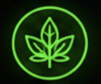 Salvia