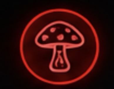 Amanita