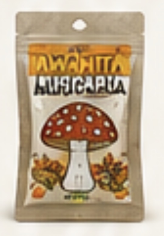 Amanita