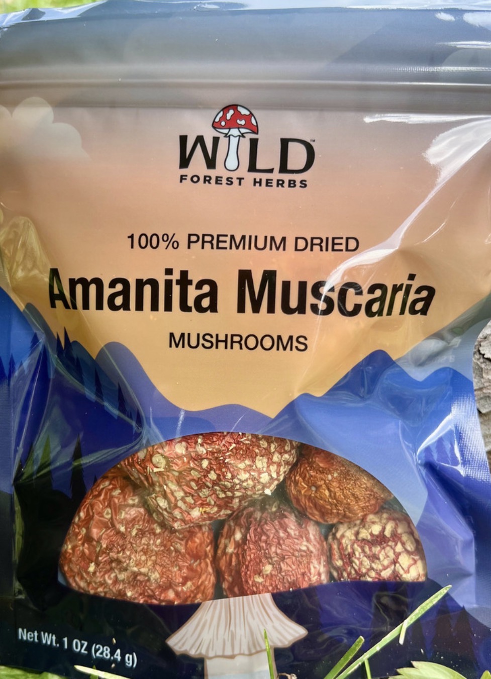 Wild Harvest Amanita Muscaria Mushrooms